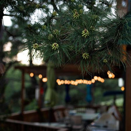 Coyote Blues Village Bed & Breakfast Silver City Esterno foto
